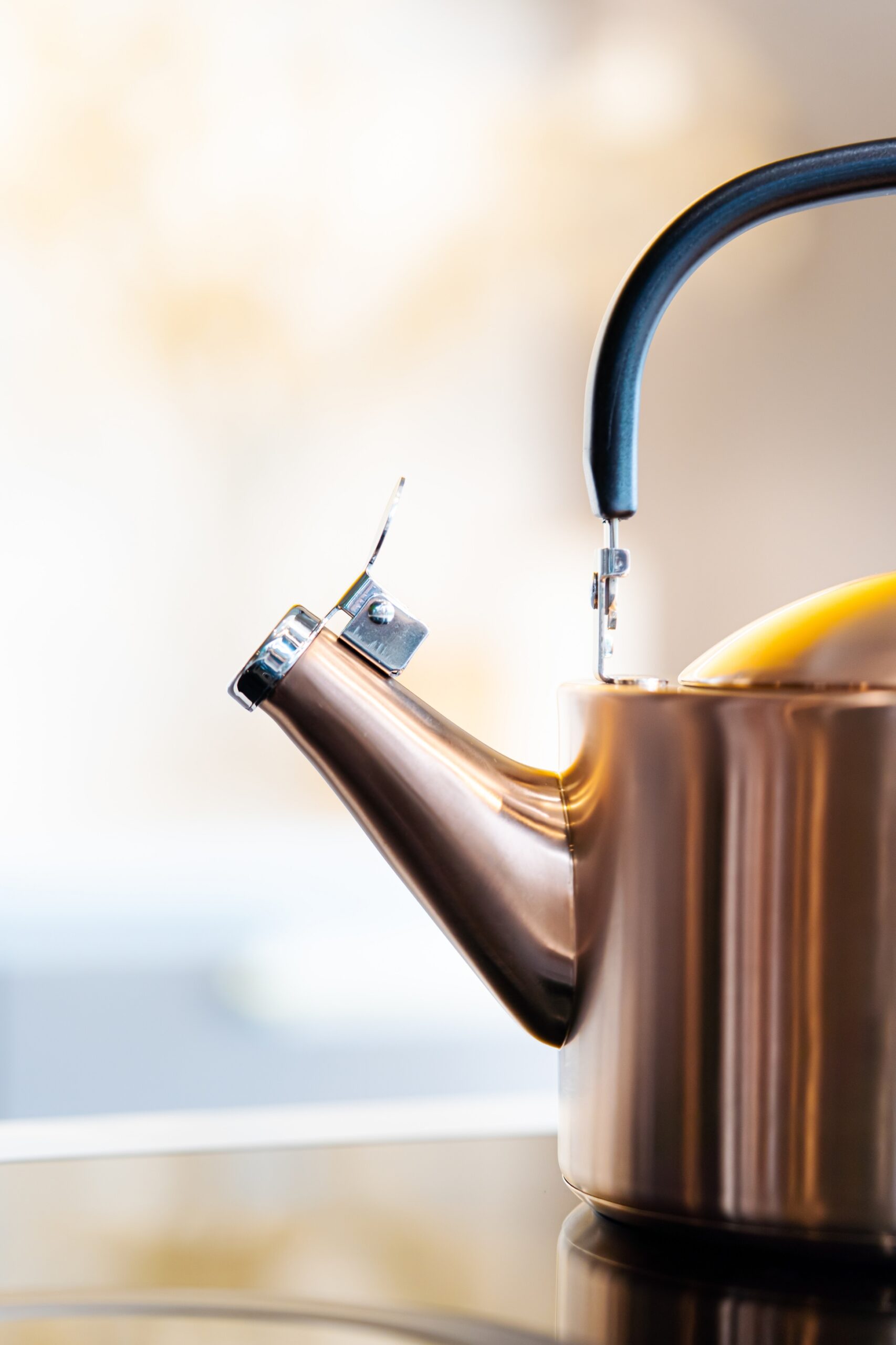 Diamante 1,5l veekeetja vilega, roosakuldne, matt - Image 6